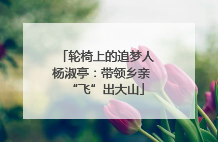轮椅上的追梦人杨淑亭：带领乡亲“飞”出大山