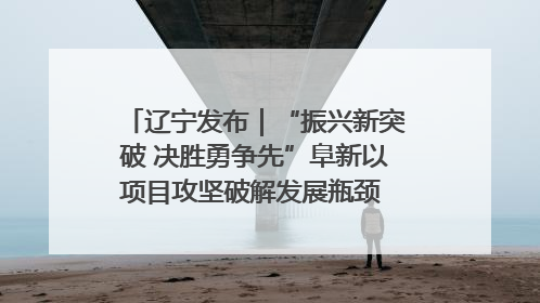 辽宁发布｜“振兴新突破 决胜勇争先”阜新以项目攻坚破解发展瓶颈 经济发展实现良好开局