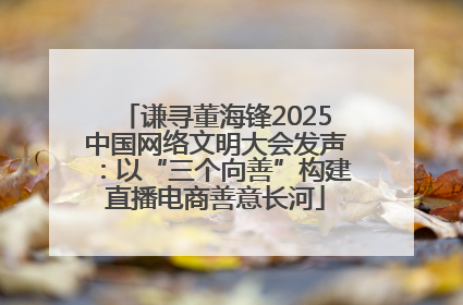 谦寻董海锋2025中国网络文明大会发声：以“三个向善”构建直播电商善意长河