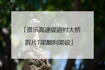 资乐高速促进村大桥首片T梁顺利架设