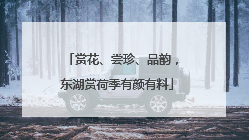 赏花、尝珍、品韵，东湖赏荷季有颜有料