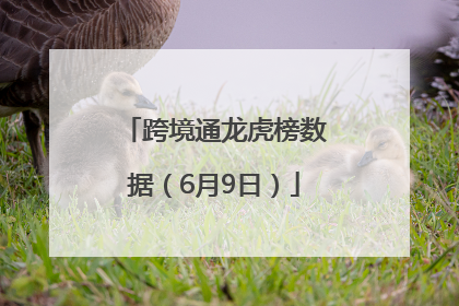 跨境通龙虎榜数据（6月9日）