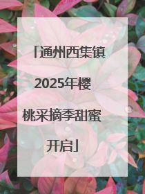 通州西集镇2025年樱桃采摘季甜蜜开启
