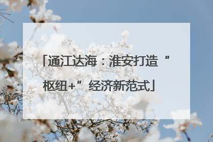 通江达海：淮安打造“枢纽+”经济新范式
