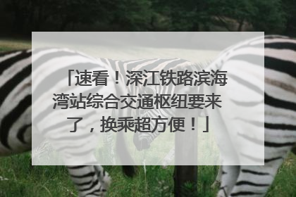 速看！深江铁路滨海湾站综合交通枢纽要来了，换乘超方便！