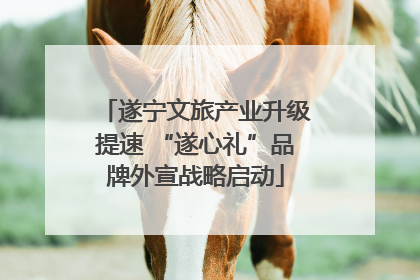 遂宁文旅产业升级提速 “遂心礼”品牌外宣战略启动