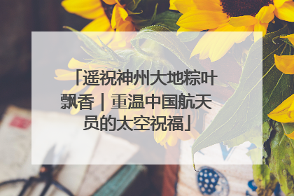 遥祝神州大地粽叶飘香｜重温中国航天员的太空祝福