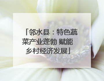 邻水县：特色蔬菜产业蓬勃 赋能乡村经济发展