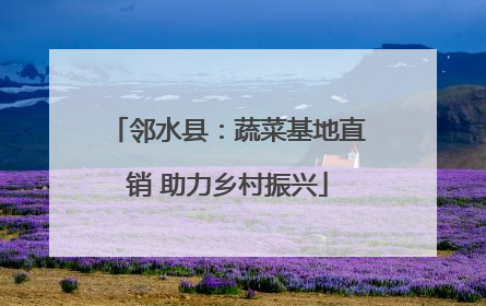 邻水县：蔬菜基地直销 助力乡村振兴