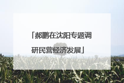 郝鹏在沈阳专题调研民营经济发展