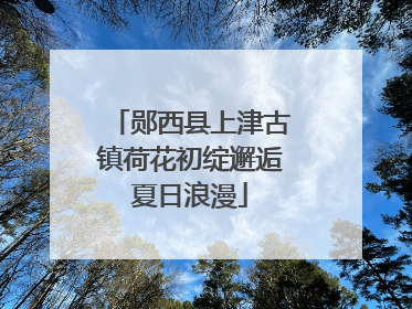 郧西县上津古镇荷花初绽邂逅夏日浪漫