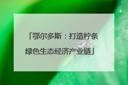 鄂尔多斯：打造柠条绿色生态经济产业链