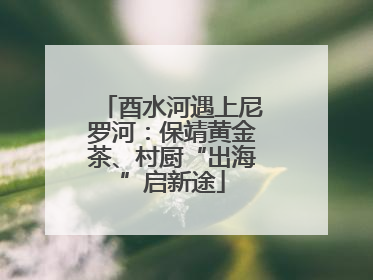 酉水河遇上尼罗河：保靖黄金茶、村厨“出海”启新途