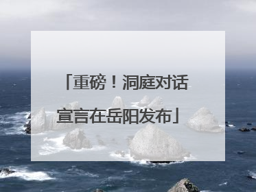 重磅！洞庭对话宣言在岳阳发布