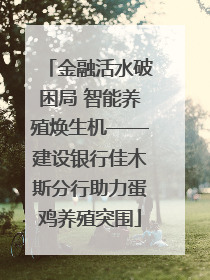 金融活水破困局 智能养殖焕生机——建设银行佳木斯分行助力蛋鸡养殖突围