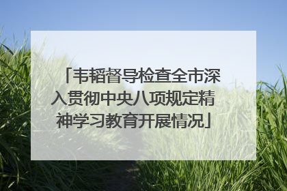 韦韬督导检查全市深入贯彻中央八项规定精神学习教育开展情况