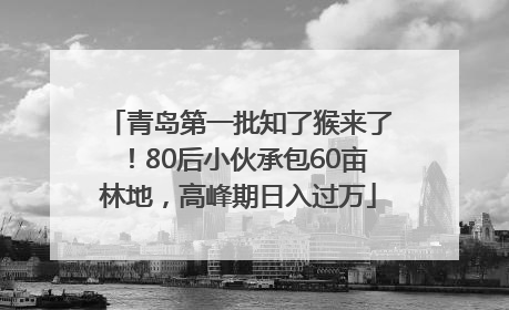 青岛第一批知了猴来了！80后小伙承包60亩林地，高峰期日入过万