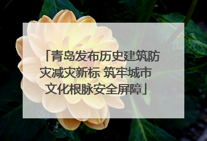 青岛发布历史建筑防灾减灾新标 筑牢城市文化根脉安全屏障