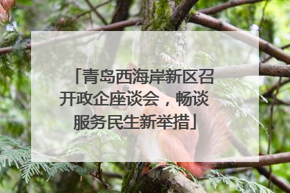 青岛西海岸新区召开政企座谈会，畅谈服务民生新举措
