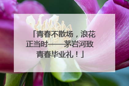 青春不散场，浪花正当时——茅岩河致青春毕业礼！