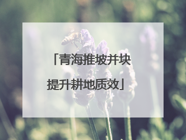 青海推坡并块提升耕地质效