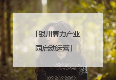 银川算力产业园启动运营