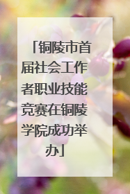 铜陵市首届社会工作者职业技能竞赛在铜陵学院成功举办