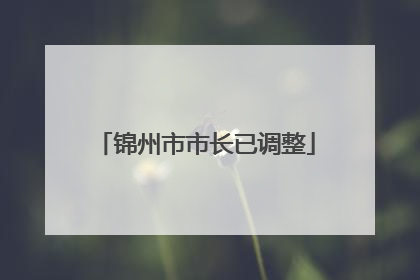 锦州市市长已调整
