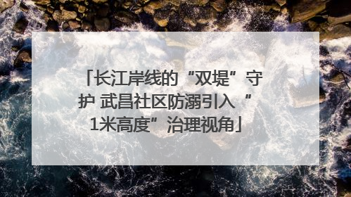 长江岸线的“双堤”守护 武昌社区防溺引入“1米高度”治理视角