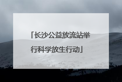 长沙公益放流站举行科学放生行动