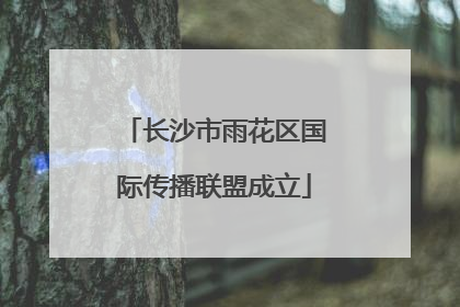长沙市雨花区国际传播联盟成立