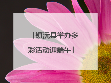 镇沅县举办多彩活动迎端午