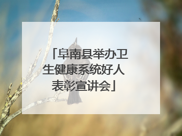 阜南县举办卫生健康系统好人表彰宣讲会
