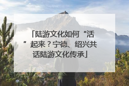 陆游文化如何“活 ”起来？宁德、绍兴共话陆游文化传承