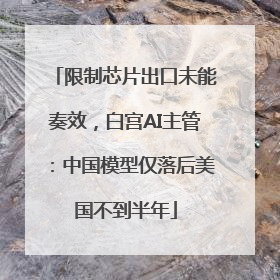 限制芯片出口未能奏效，白宫AI主管：中国模型仅落后美国不到半年
