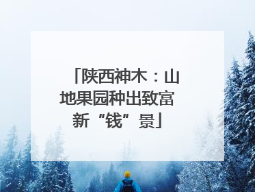 陕西神木：山地果园种出致富新“钱”景