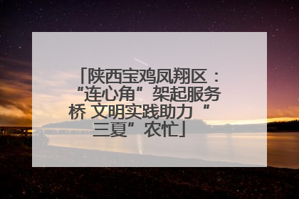 陕西宝鸡凤翔区：“连心角”架起服务桥 文明实践助力“三夏”农忙
