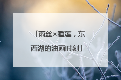 雨丝×睡莲，东西湖的油画时刻