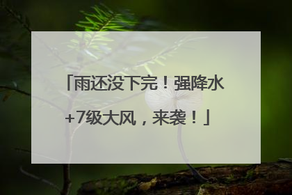 雨还没下完！强降水+7级大风，来袭！