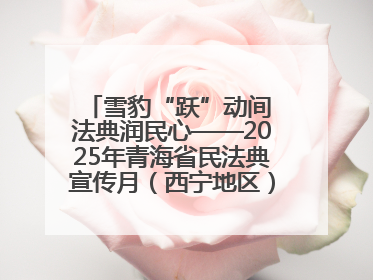 雪豹“跃”动间 法典润民心——2025年青海省民法典宣传月（西宁地区）主场活动见闻