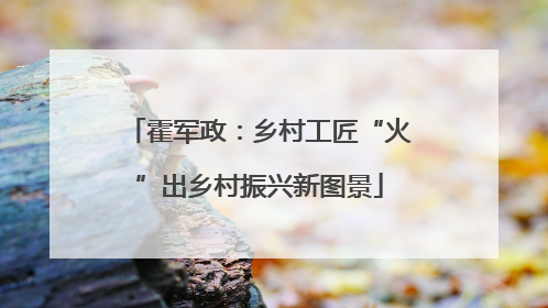 霍军政：乡村工匠“火”出乡村振兴新图景