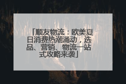 顺友物流：欧美夏日消费热潮涌动，选品、营销、物流一站式攻略来袭