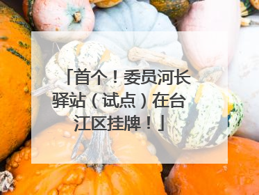 首个！委员河长驿站（试点）在台江区挂牌！