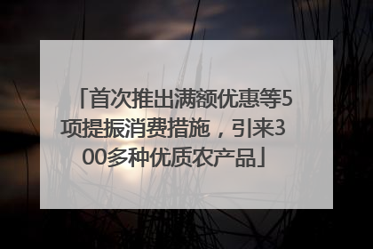 首次推出满额优惠等5项提振消费措施，引来300多种优质农产品