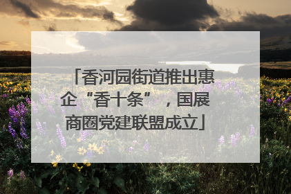 香河园街道推出惠企“香十条”，国展商圈党建联盟成立