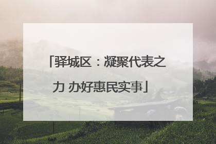 驿城区：凝聚代表之力 办好惠民实事