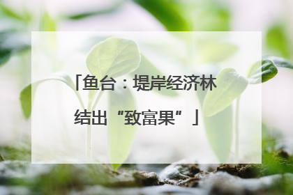 鱼台：堤岸经济林结出“致富果”