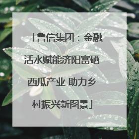 鲁信集团：金融活水赋能济阳富硒西瓜产业 助力乡村振兴新图景