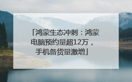 鸿蒙生态冲刺：鸿蒙电脑预约量超12万，手机备货量激增
