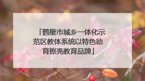 鹤壁市城乡一体化示范区教体系统以特色德育擦亮教育品牌
